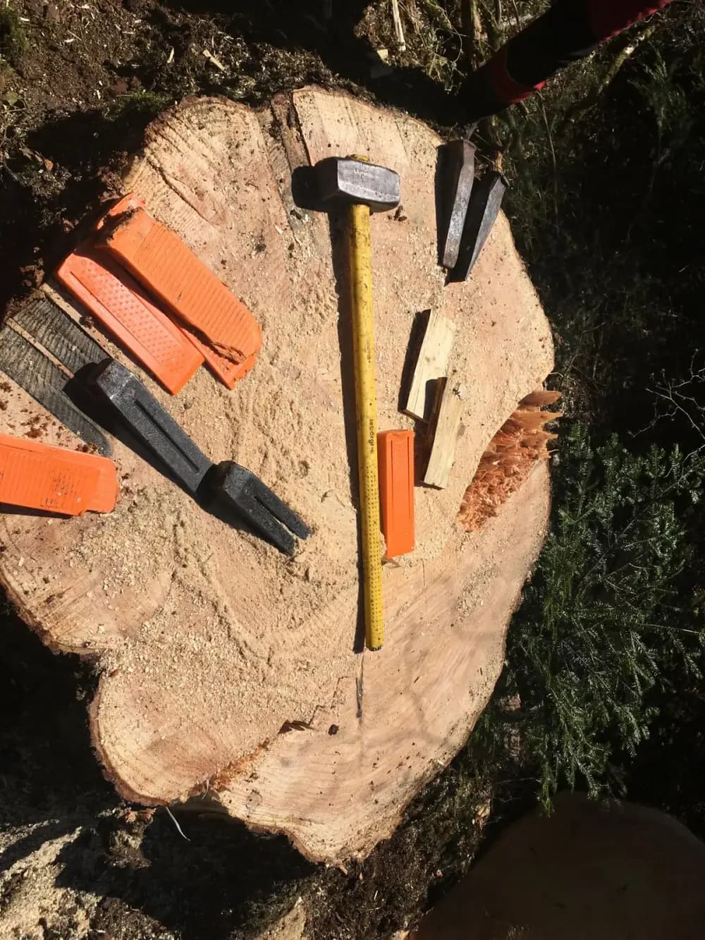 Coins d'abattage et masse posés sur la souche claire d'un arbre qui vient d'être coupé.