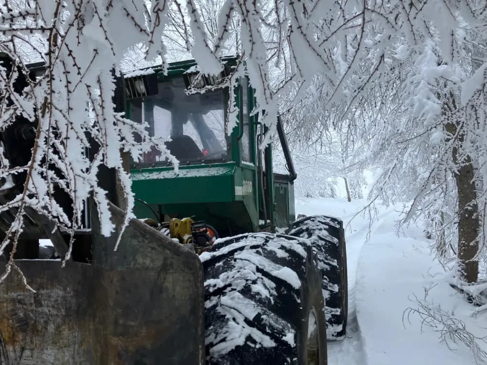 Débardeur forestier à l'arrêt sur une piste enneigée, sous des branches chargées de givre.