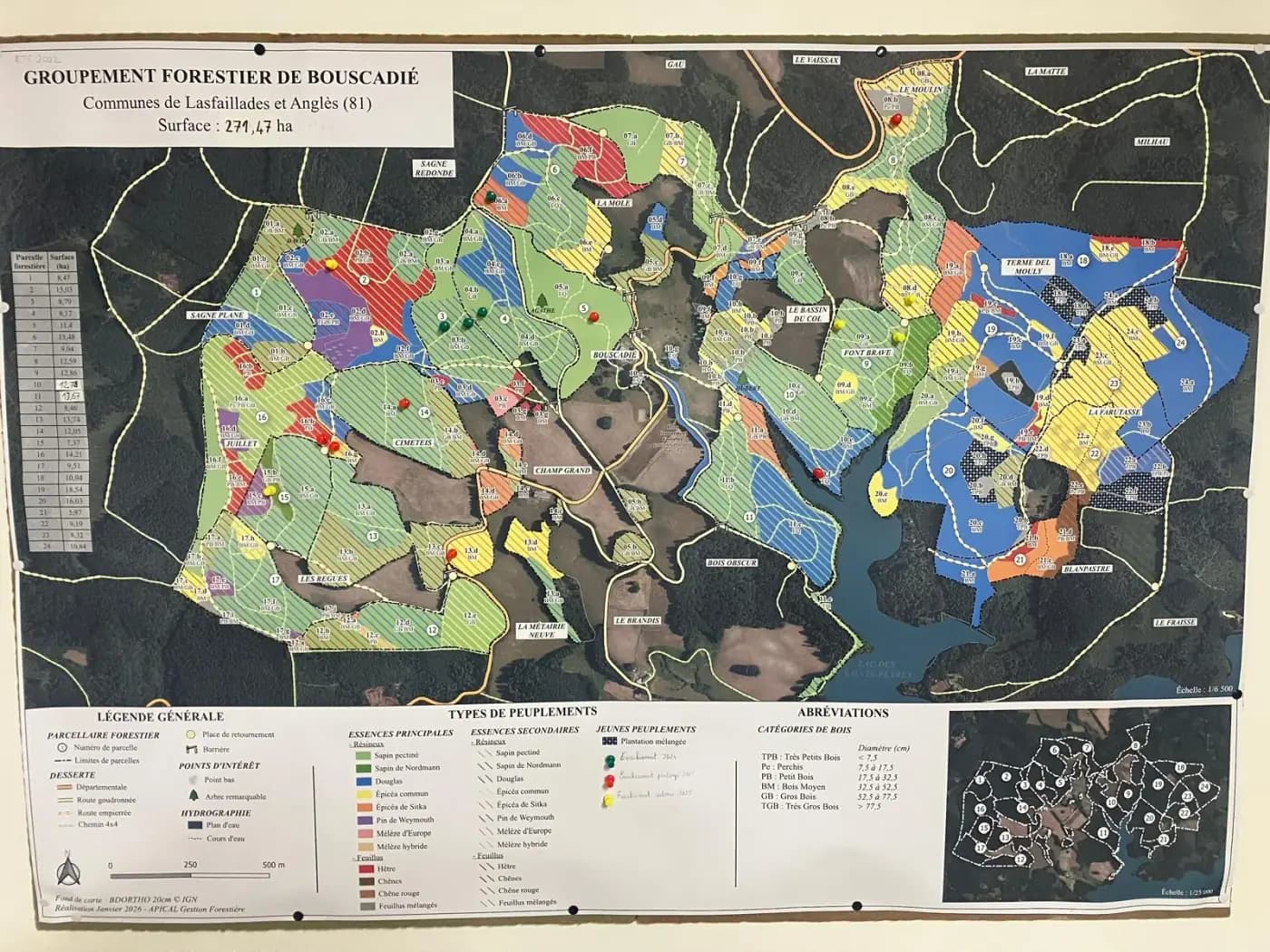 Carte du plan de gestion du groupement affichée au mur : le parcellaire coloré par type de peuplement sur fond de photographie aérienne, avec le tableau des surfaces et la légende des essences.